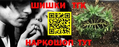 тгк Можга