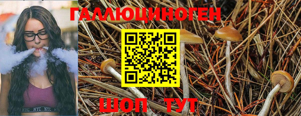 Галлюциногенные грибы MAGIC MUSHROOMS Усинск