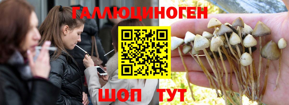 Галлюциногенные грибы MAGIC MUSHROOMS  Вход с VPN  Усинск 